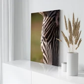 Siyah Beyaz Çizgili Zebra Kanvas Tablo thumbnail 3