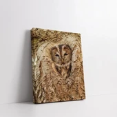 Kamufle Baykuş Kanvas Tablo thumbnail 2