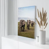 Doğadaki Filler Kanvas Tablo thumbnail 3