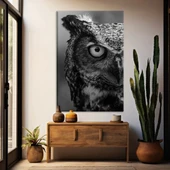 Siyah Baykuş Kanvas Tablo thumbnail 1