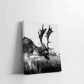 Siyah Beyaz Geyik Kanvas Tablo thumbnail 2