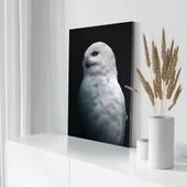 Beyaz Baykuş Kanvas Tablo thumbnail 3