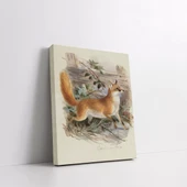 Koşan Tilki Kanvas Tablo thumbnail 2