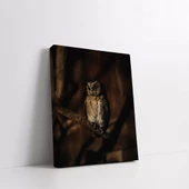 Daldaki Baykuş Kanvas Tablo thumbnail 2