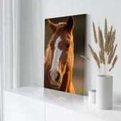 Kahverengi Gözlü At Kanvas Tablo thumbnail 3