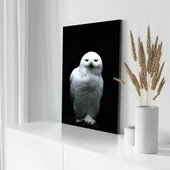 Beyaz Baykuş Kanvas Tablo thumbnail 3