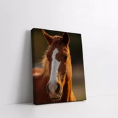 Kahverengi Gözlü At Kanvas Tablo thumbnail 2