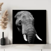 Savana Hikayeleri Kanvas Tablo thumbnail 3