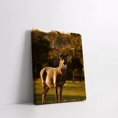 Manzaradaki Geyik Kanvas Tablo thumbnail 2