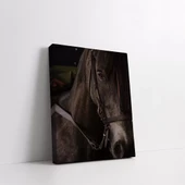 Masum Bakışlı Siyah At Kanvas Tablo thumbnail 2