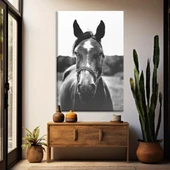 Siyah Beyaz At Kanvas Tablo thumbnail 1
