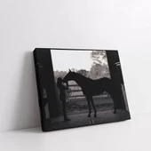 Siyah Beyaz At Kanvas Tablo thumbnail 2