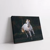 Yalnızlık Majestesi Kanvas Tablo thumbnail 2