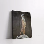 Sarı Tüylü Mirket Kanvas Tablo thumbnail 2