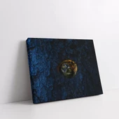 Gizemli Baykuş Kanvas Tablo thumbnail 2