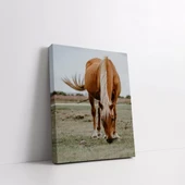 Kahverengi At Kanvas Tablo thumbnail 2