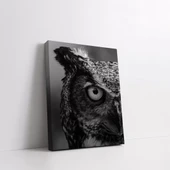 Siyah Baykuş Kanvas Tablo thumbnail 2
