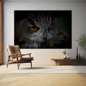 Gözlerinde Gizemi Saklayan Baykuş Kanvas Tablo thumbnail 1