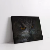 Gözlerinde Gizemi Saklayan Baykuş Kanvas Tablo thumbnail 2
