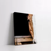 Kahverengi Beyaz At Kanvas Tablo thumbnail 2