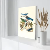 Daldaki Kuşlar Kanvas Tablo thumbnail 3
