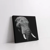 Savana Hikayeleri Kanvas Tablo thumbnail 2