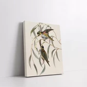 Daldaki Kuşlar Kanvas Tablo thumbnail 2