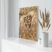 Kamufle Baykuş Kanvas Tablo thumbnail 3