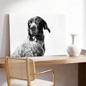 Köpek Portresi Kanvas Tablo thumbnail 3