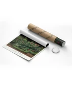 Çerçevesiz Poster Camille Pissarro Gül Bahçesi thumbnail 8