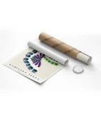 Çerçevesiz Poster Kamisaka Sekka İki Japon Kelebeği thumbnail 8