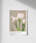 Çerçevesiz Poster Ogawa Kazumasa Beyaz Süsen thumbnail 1