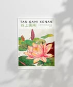 Çerçevesiz Poster Tanigami Konan Nymphaea Lotus thumbnail 6