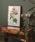 Çerçevesiz Poster Rosa Damascane Italica thumbnail 4