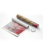 Çerçevesiz Poster Paul Klee Blossoming thumbnail 8