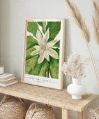 Çerçevesiz Poster Mary Vaux Walcott Umbrella Tree thumbnail 4