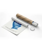 Çerçevesiz Poster Matisse Berggruen Cıe thumbnail 8