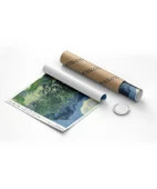 Çerçevesiz Poster Vincent Van Gogh Zeytin Ağaçları (2) thumbnail 8