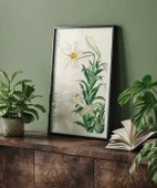 Çerçevesiz Poster Ohara Koson Zambaklar thumbnail 4