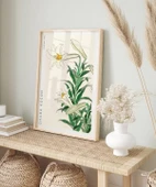 Çerçevesiz Poster Ohara Koson Zambaklar thumbnail 5