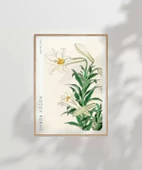 Çerçevesiz Poster Ohara Koson Zambaklar thumbnail 7