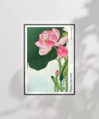 Çerçevesiz Poster Ohara Koson Çiçek Açan Lotus Çiçekleri 2 thumbnail 6