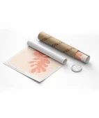 Çerçevesiz Poster Matisse Pembe Bitki thumbnail 2