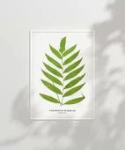Çerçevesiz Poster Polypodium Inaequale thumbnail 3