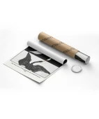 Çerçevesiz Poster Hilma Af Klint Kuğu thumbnail 8