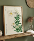 Çerçevesiz Poster Ohara Koson Zambaklar thumbnail 4