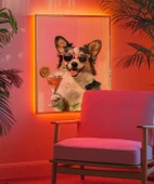 Çerçevesiz Poster Corgi'nin Pembe Gözlük Stili thumbnail 4