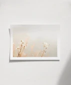 Çerçevesiz Poster Doğanın İnceliği thumbnail 1