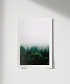 Çerçevesiz Poster Doğanın Gizemi thumbnail 1