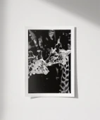 Çerçevesiz Poster Uzun Boylu Aşk thumbnail 1